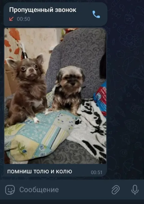 Пропущенный звонок от Толи и Коли
