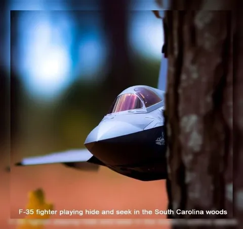 F-35 Playing Hide and Seek