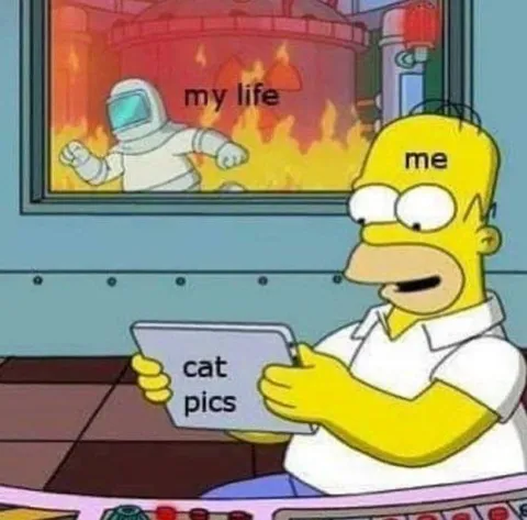 Homer Looking at Cat Pics