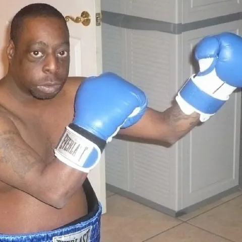 Боксёр в перчатках Everlast