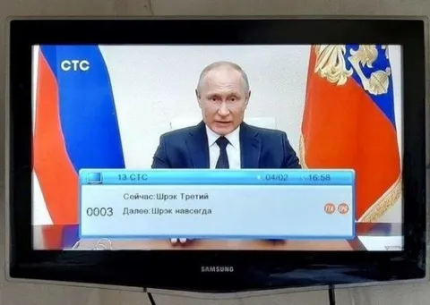 Шреки по телевизору