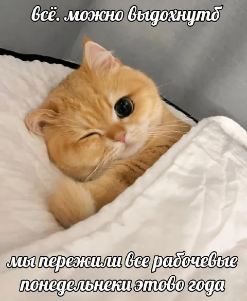 Пережили рабочие понедельники