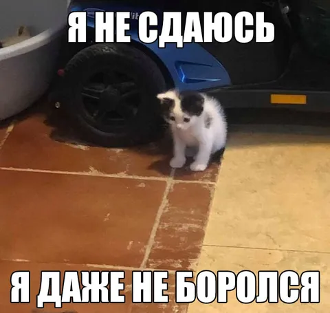 Я не сдался и не боролся