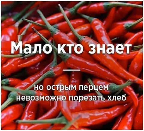 Острым перцем нельзя порезать хлеб