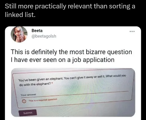 Bizarre Elephant Job Application Question