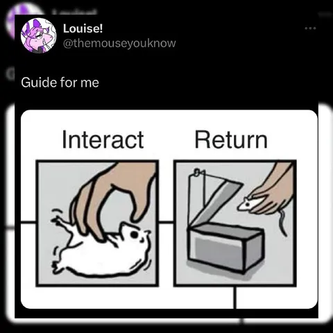 Interact With Cat, Return Box