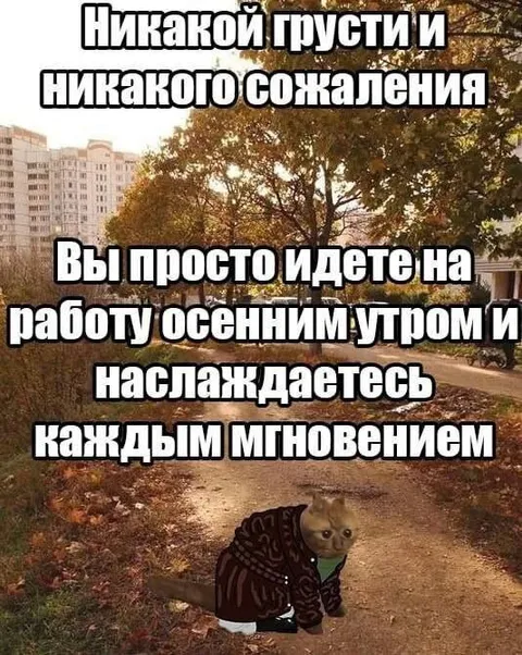 Осенняя прогулка без сожалений