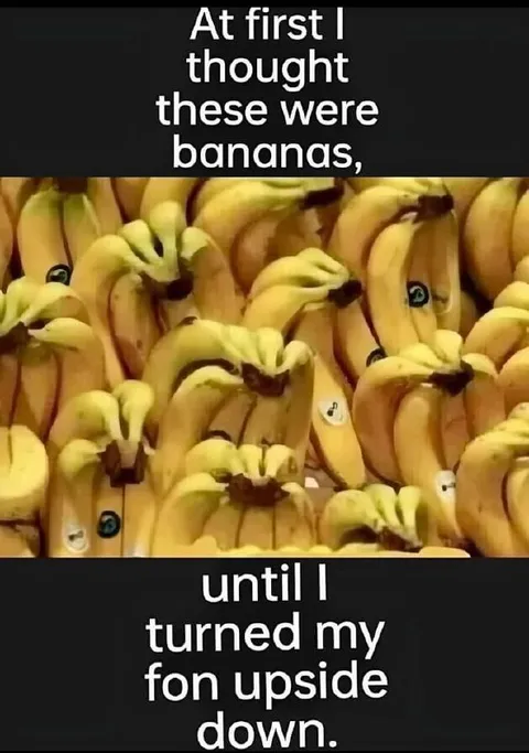 Bananas Upside Down