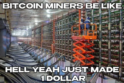Bitcoin Miners Make One Dollar