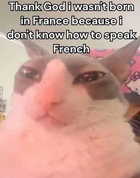 Thank God I Wasn't Born in France