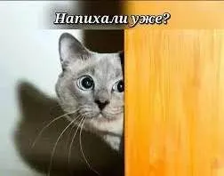 Напихали уже?