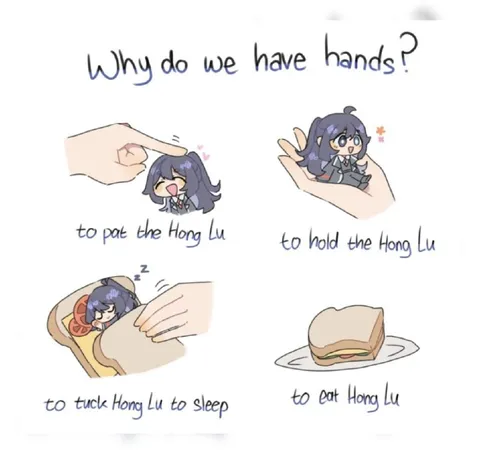 Why Do We Have Hands? Hong Lu