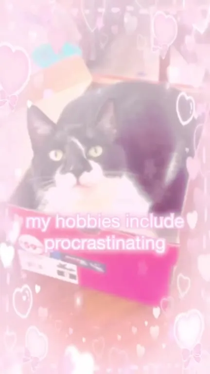 ADHD Maxxing Cat Hobbies