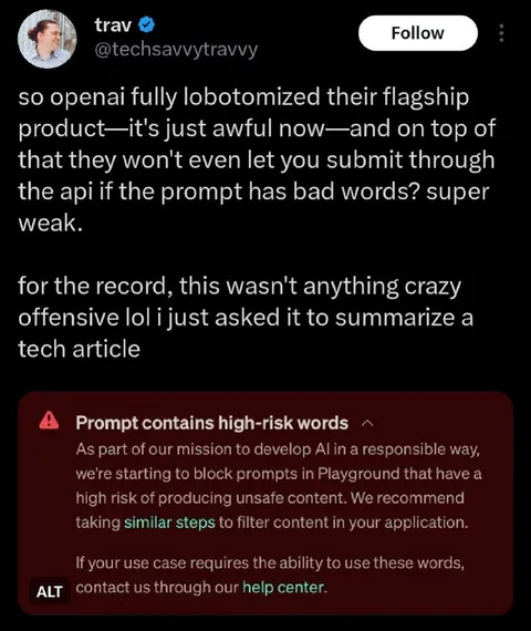 OpenAI Blocks a Tech Article Summary