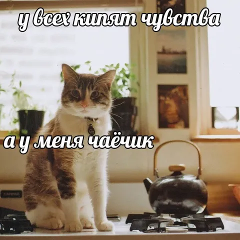 У всех кипят чувства, а у меня чайник