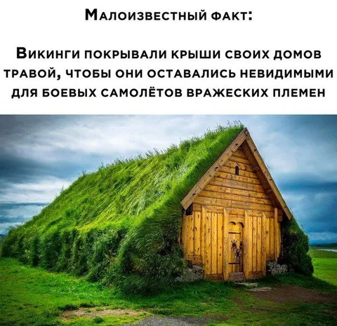 Викинги и невидимые дома