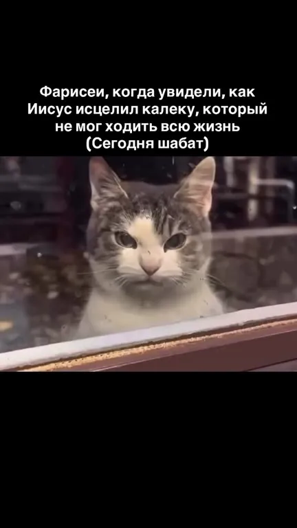 Фарисеи увидели чудо Иисуса