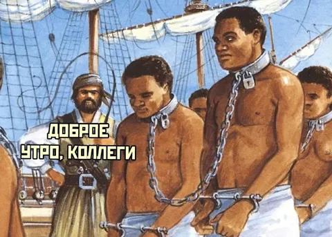Доброе утро, коллеги на галере