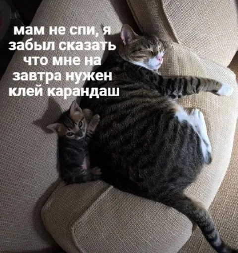 Мам, мне нужен клей-карандаш