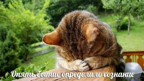 Бытие определило сознание