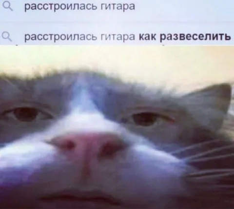 Расстроилась гитара, как развеселить