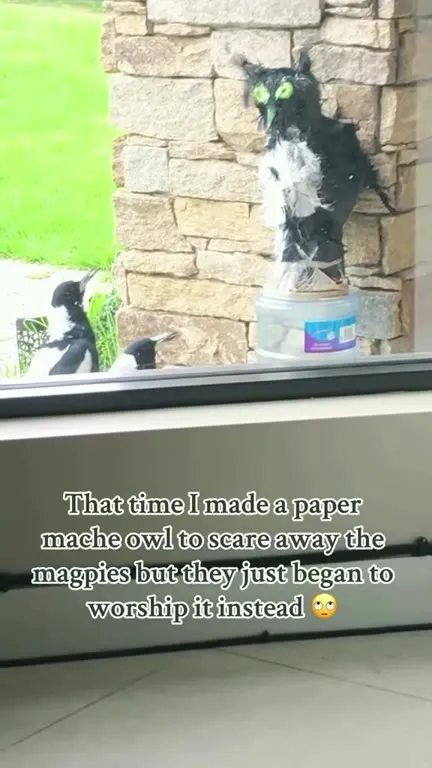 Magpies Worship the Paper Owl