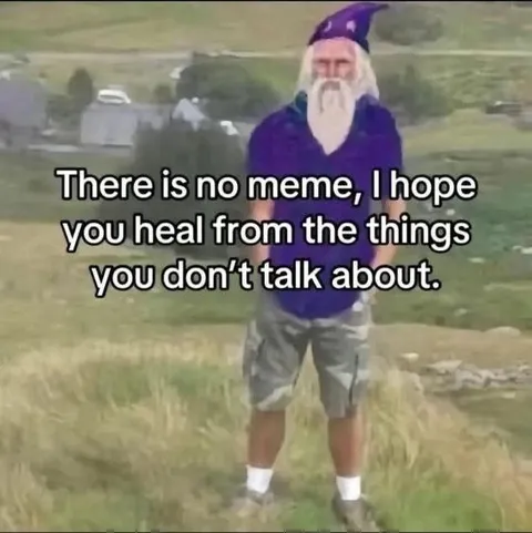 There Is No Meme I Hope You Heal