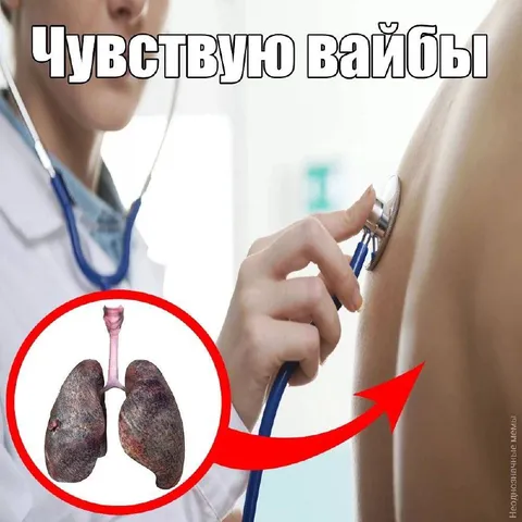 Чувствую вайбы лёгких