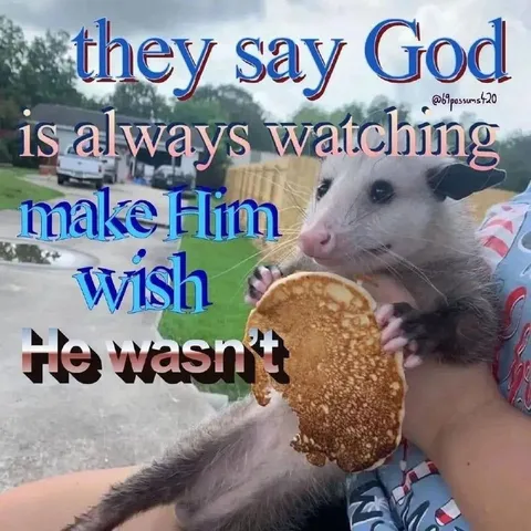 Possum Makes God Wish He Wasn't Watching