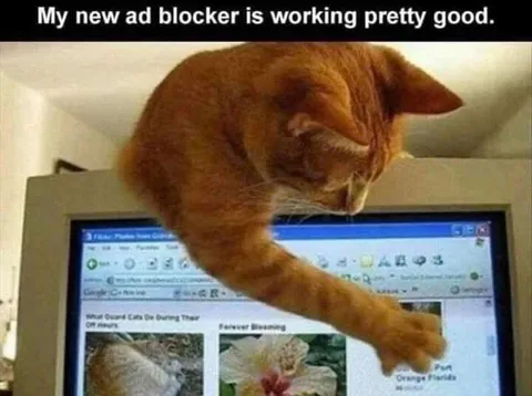 Cat Ad Blocker Working