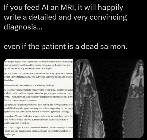 AI Diagnoses a Dead Salmon