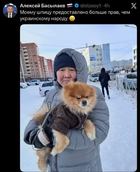 Шпиц с большими правами