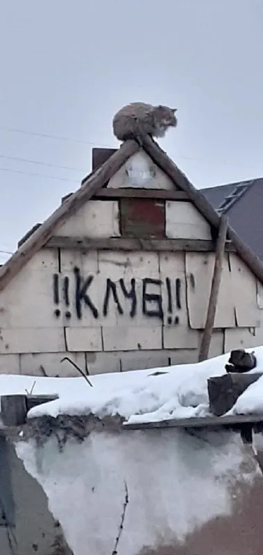 Крыса над надписью «КМЕШ»