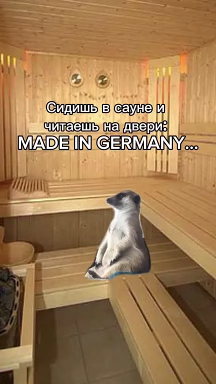 Сурикат читает Made in Germany
