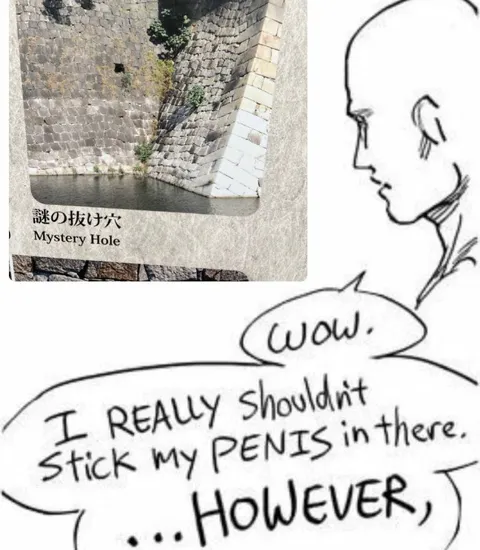 Mystery Hole Penis Joke