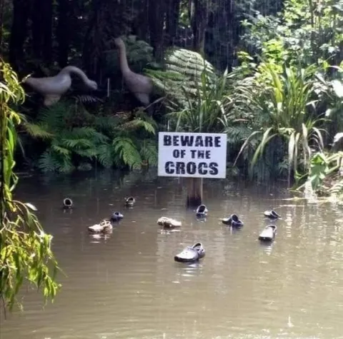 Beware of the Crocs