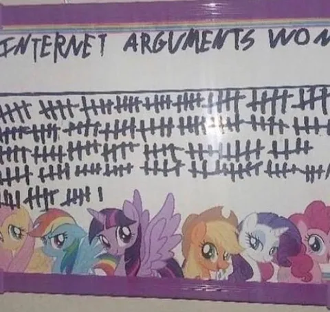 Internet Arguments Won