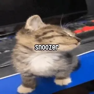 Sleepy Kitten SNOOZER