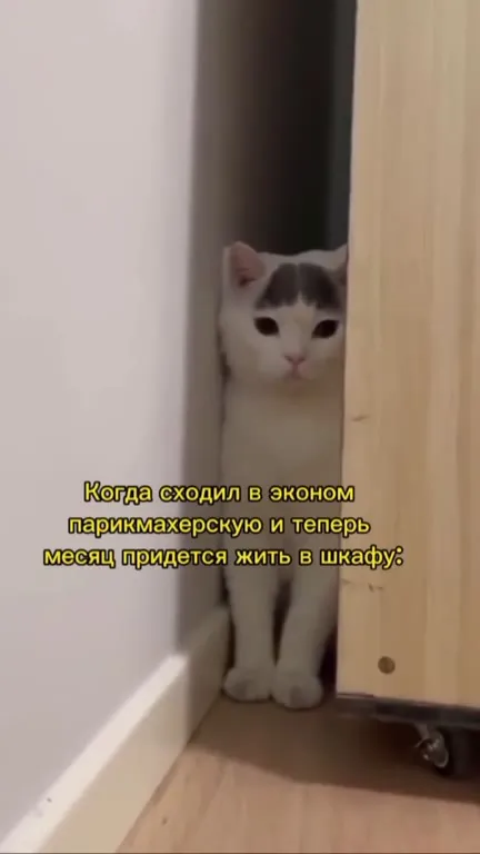 После неудачной стрижки