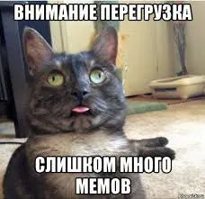 Слишком много мемов