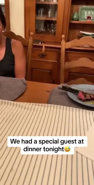 Special Guest at Dinner
