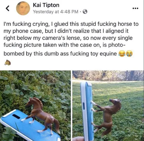 Toy Horse Photobombs Every Picture
