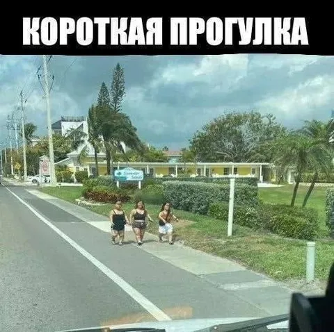 Короткая прогулка