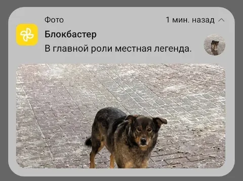 Местная легенда в главной роли