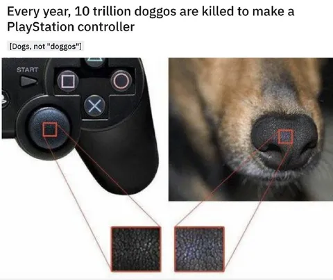 Doggos Make PlayStation Controllers
