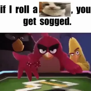 If I Roll a Cat, You Get Sogged