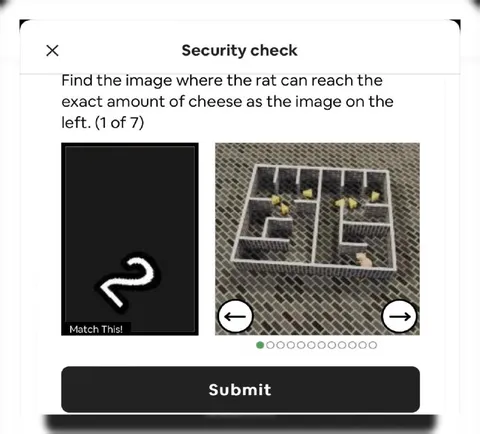 Rat Cheese Security Check