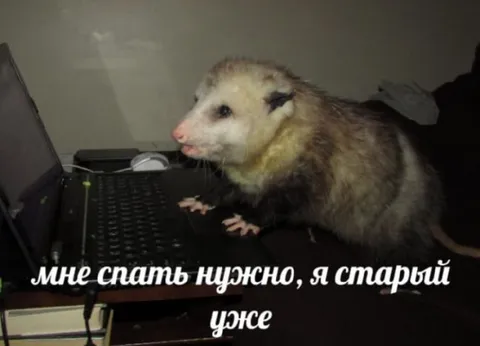 Мне спать нужно, я старый уже
