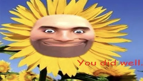 You Did Well Sunflower