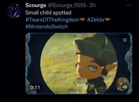 Small Child Spotted in Zelda